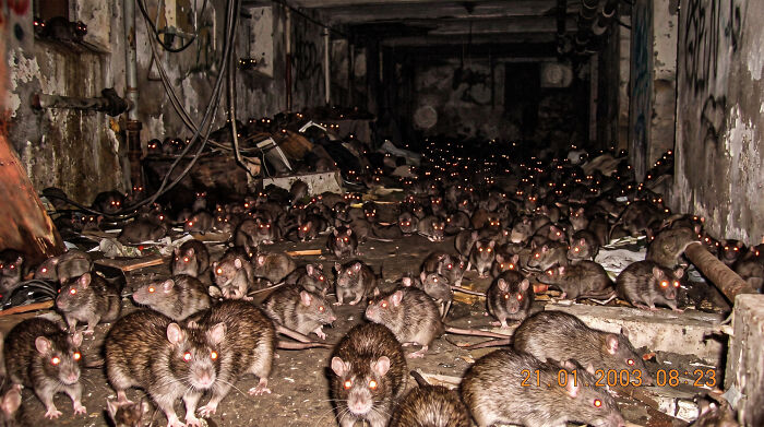 92 Cursed AI Images That Might Just Fuel Your Next Nightmares 92 Cursed AI Images That Might Just Fuel Your Next Nightmares
