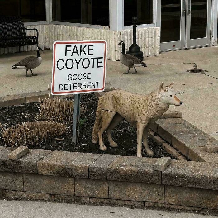 81 Ridiculously Funny ‘You Had One Job’ Fails People Couldn’t Believe Were Possible (New Pics) 81 Ridiculously Funny ‘You Had One Job’ Fails People Couldn’t Believe Were Possible (New Pics)