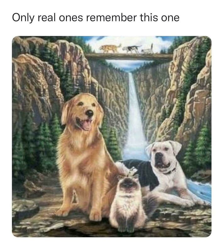 73 Nostalgic Memes That Might Take Every ’90s Kid Straight Back To Childhood (New Pics)
