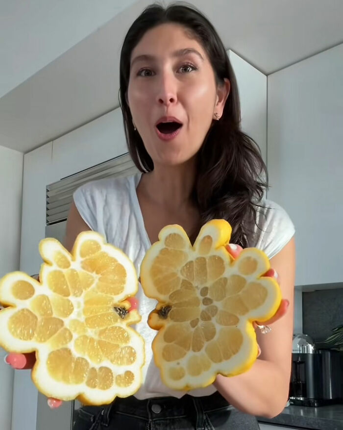 Horrifying Viral TikTok Trend Allegedly Exposes “Fake” Foods Americans Eat Everyday Horrifying Viral TikTok Trend Allegedly Exposes “Fake” Foods Americans Eat Everyday