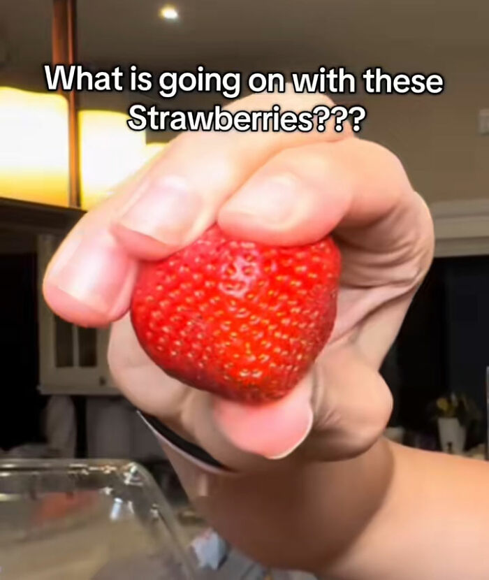 Horrifying Viral TikTok Trend Allegedly Exposes “Fake” Foods Americans Eat Everyday Horrifying Viral TikTok Trend Allegedly Exposes “Fake” Foods Americans Eat Everyday