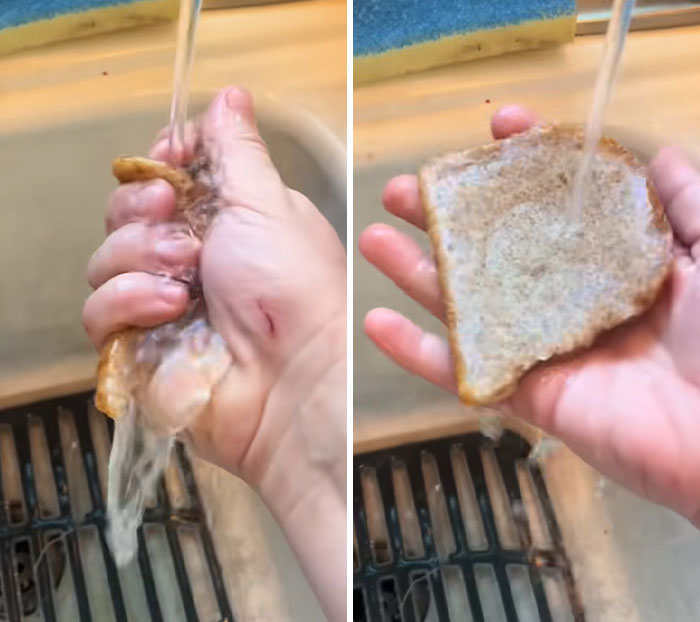 Horrifying Viral TikTok Trend Allegedly Exposes “Fake” Foods Americans Eat Everyday Horrifying Viral TikTok Trend Allegedly Exposes “Fake” Foods Americans Eat Everyday