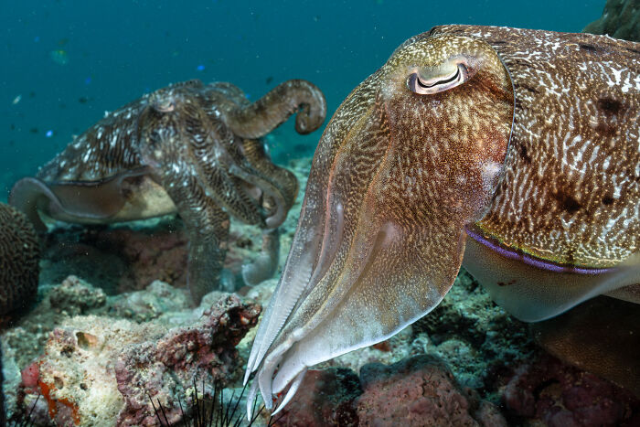 25 Stunning Photos From The 2026 International Nature Photography Festival 25 Stunning Photos From The 2026 International Nature Photography Festival