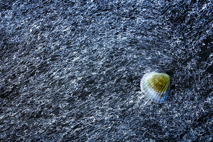 25 Stunning Photos From The 2026 International Nature Photography Festival 25 Stunning Photos From The 2026 International Nature Photography Festival