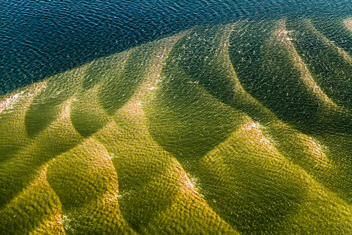 25 Stunning Photos From The 2026 International Nature Photography Festival 25 Stunning Photos From The 2026 International Nature Photography Festival