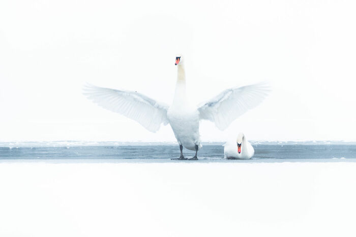 25 Stunning Photos From The 2026 International Nature Photography Festival 25 Stunning Photos From The 2026 International Nature Photography Festival