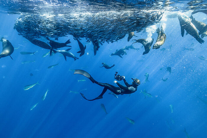 25 Stunning Photos From The 2026 International Nature Photography Festival 25 Stunning Photos From The 2026 International Nature Photography Festival