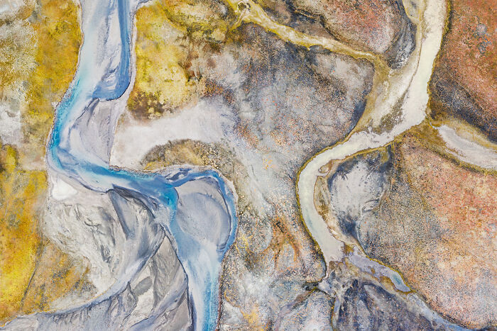 25 Stunning Photos From The 2026 International Nature Photography Festival 25 Stunning Photos From The 2026 International Nature Photography Festival