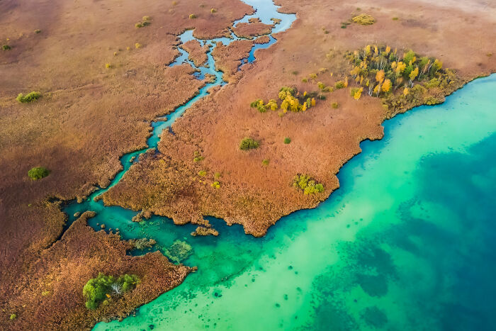 25 Stunning Photos From The 2026 International Nature Photography Festival 25 Stunning Photos From The 2026 International Nature Photography Festival