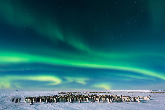 25 Stunning Photos From The 2026 International Nature Photography Festival 25 Stunning Photos From The 2026 International Nature Photography Festival