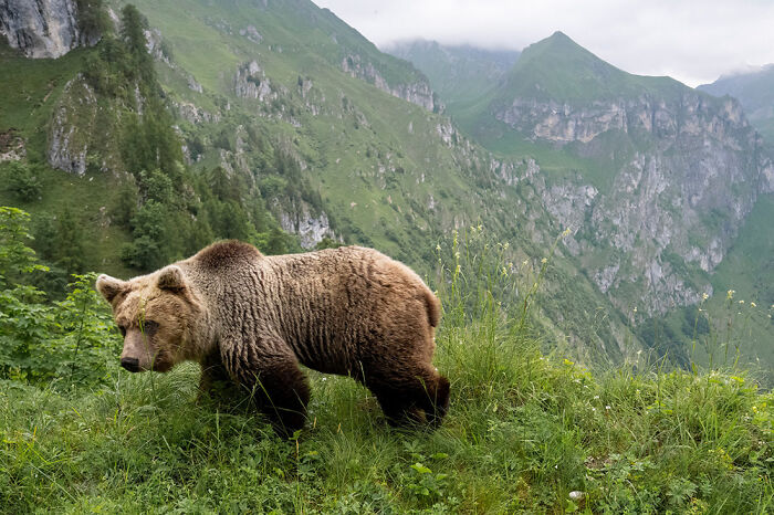 25 Stunning Photos From The 2026 International Nature Photography Festival 25 Stunning Photos From The 2026 International Nature Photography Festival
