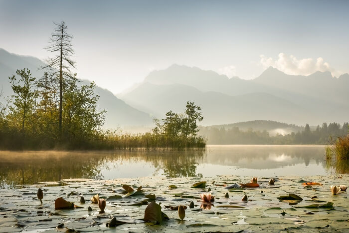 25 Stunning Photos From The 2026 International Nature Photography Festival 25 Stunning Photos From The 2026 International Nature Photography Festival