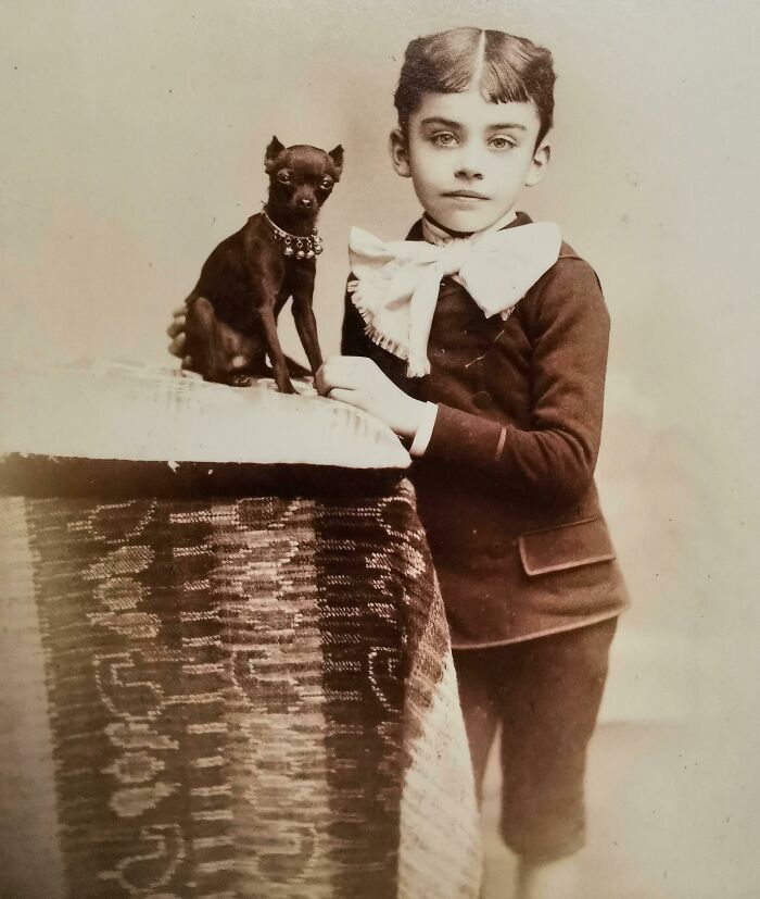 91 Intriguing Victorian Photos That Reveal The Everyday Details History Books Often Skip (New Pics) 91 Intriguing Victorian Photos That Reveal The Everyday Details History Books Often Skip (New Pics)