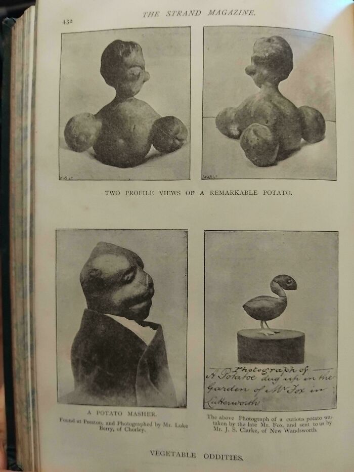 91 Intriguing Victorian Photos That Reveal The Everyday Details History Books Often Skip (New Pics) 91 Intriguing Victorian Photos That Reveal The Everyday Details History Books Often Skip (New Pics)