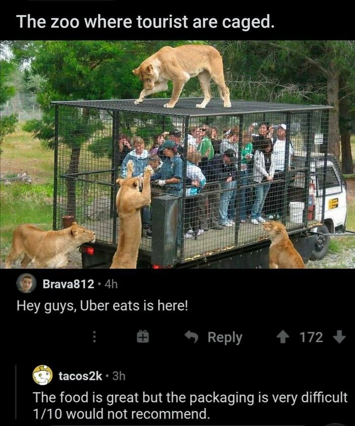 33 Times People Thought Outside The Box To Deliver A Creative And Cursed Comment 33 Times People Thought Outside The Box To Deliver A Creative And Cursed Comment