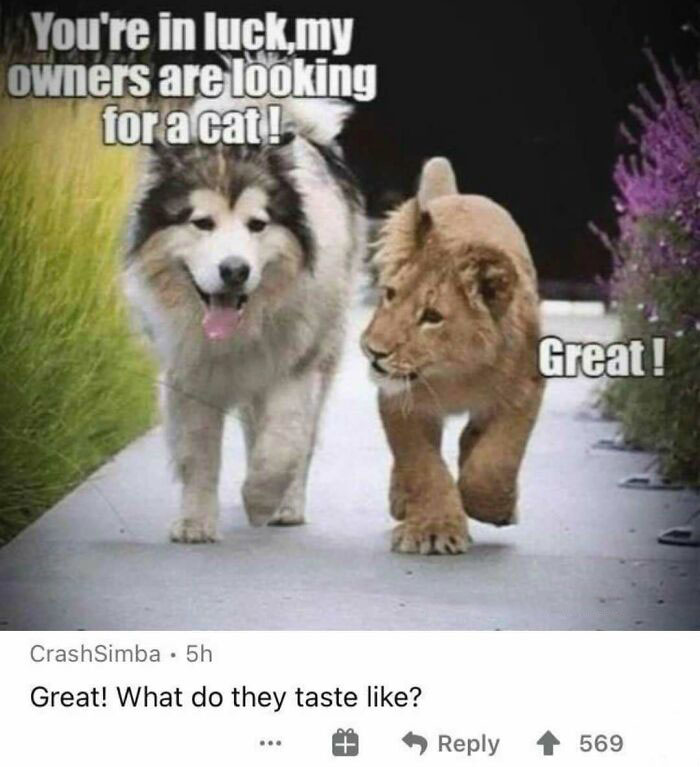 33 Times People Thought Outside The Box To Deliver A Creative And Cursed Comment 33 Times People Thought Outside The Box To Deliver A Creative And Cursed Comment