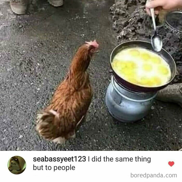 33 Times People Thought Outside The Box To Deliver A Creative And Cursed Comment 33 Times People Thought Outside The Box To Deliver A Creative And Cursed Comment