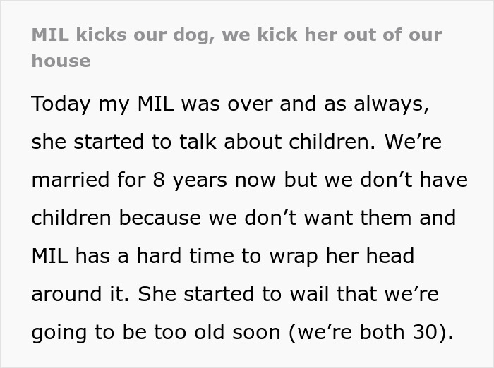 MIL Spends Eight Years Demanding Grandchildren And Ends Her Visits Forever By Kicking A Senior Dog