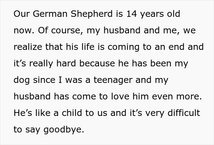 MIL Spends Eight Years Demanding Grandchildren And Ends Her Visits Forever By Kicking A Senior Dog