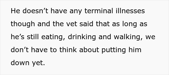 MIL Spends Eight Years Demanding Grandchildren And Ends Her Visits Forever By Kicking A Senior Dog