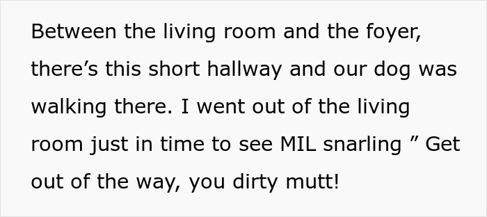 MIL Spends Eight Years Demanding Grandchildren And Ends Her Visits Forever By Kicking A Senior Dog