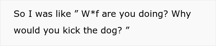 MIL Spends Eight Years Demanding Grandchildren And Ends Her Visits Forever By Kicking A Senior Dog