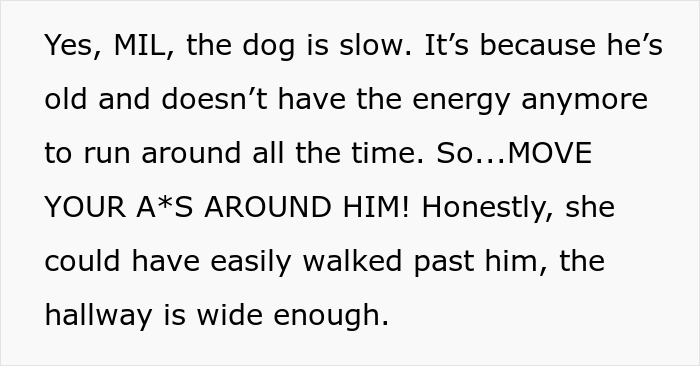 MIL Spends Eight Years Demanding Grandchildren And Ends Her Visits Forever By Kicking A Senior Dog