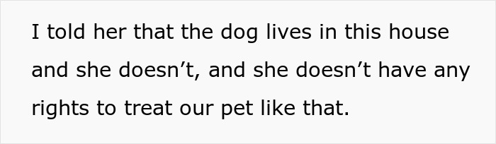 MIL Spends Eight Years Demanding Grandchildren And Ends Her Visits Forever By Kicking A Senior Dog