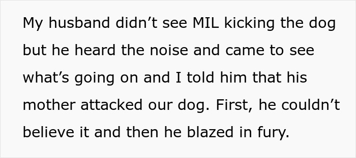 MIL Spends Eight Years Demanding Grandchildren And Ends Her Visits Forever By Kicking A Senior Dog