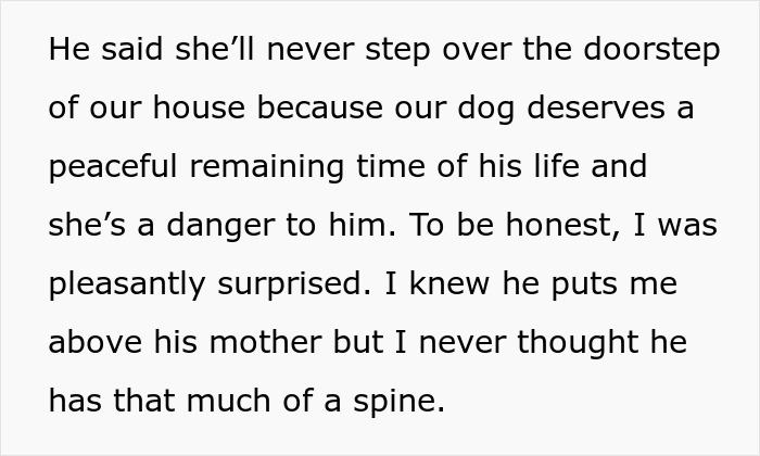 MIL Spends Eight Years Demanding Grandchildren And Ends Her Visits Forever By Kicking A Senior Dog