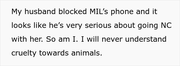 MIL Spends Eight Years Demanding Grandchildren And Ends Her Visits Forever By Kicking A Senior Dog