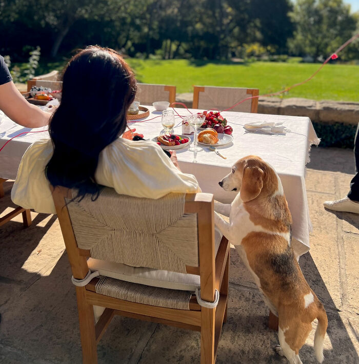 Meghan Markle’s Return To UK Renews Concern For Her Kids After “Horrible” Detail Of Move Revealed
