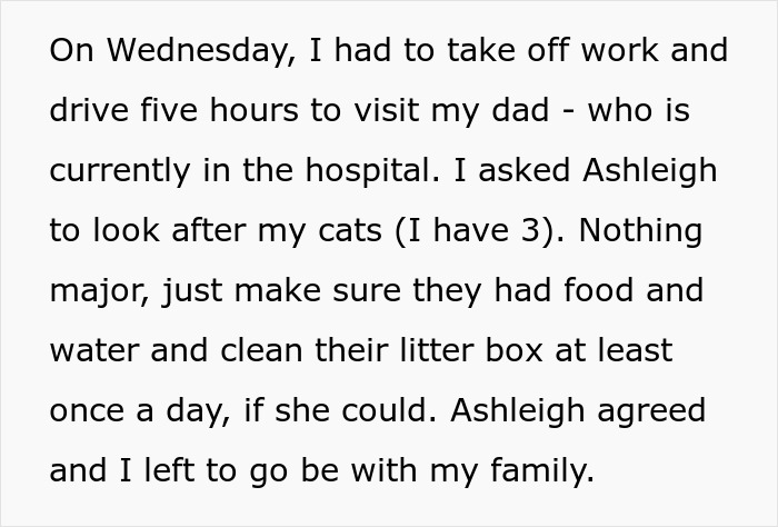 Woman Trusts Roommate To Watch Her Cats While She Visits Sick Dad, Returns To A Destroyed Home