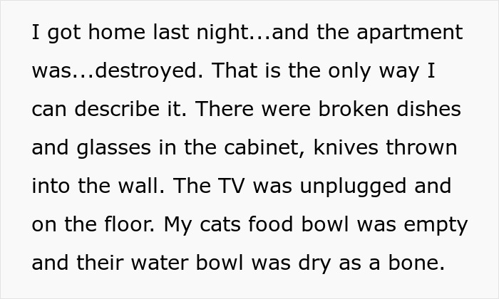 Woman Trusts Roommate To Watch Her Cats While She Visits Sick Dad, Returns To A Destroyed Home