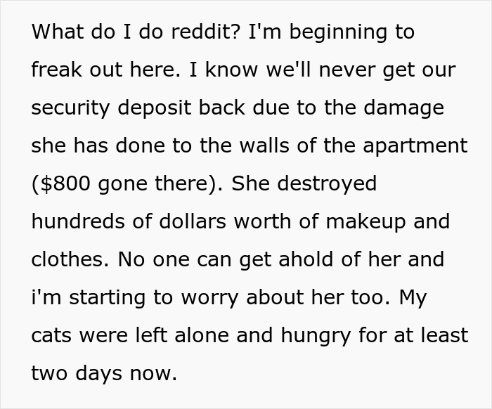 Woman Trusts Roommate To Watch Her Cats While She Visits Sick Dad, Returns To A Destroyed Home