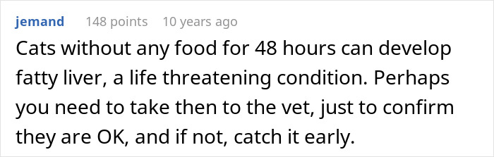 Woman Trusts Roommate To Watch Her Cats While She Visits Sick Dad, Returns To A Destroyed Home