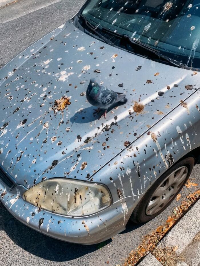 This Photographer Captured 58 Street Moments So Perfectly Timed They Look Almost Staged