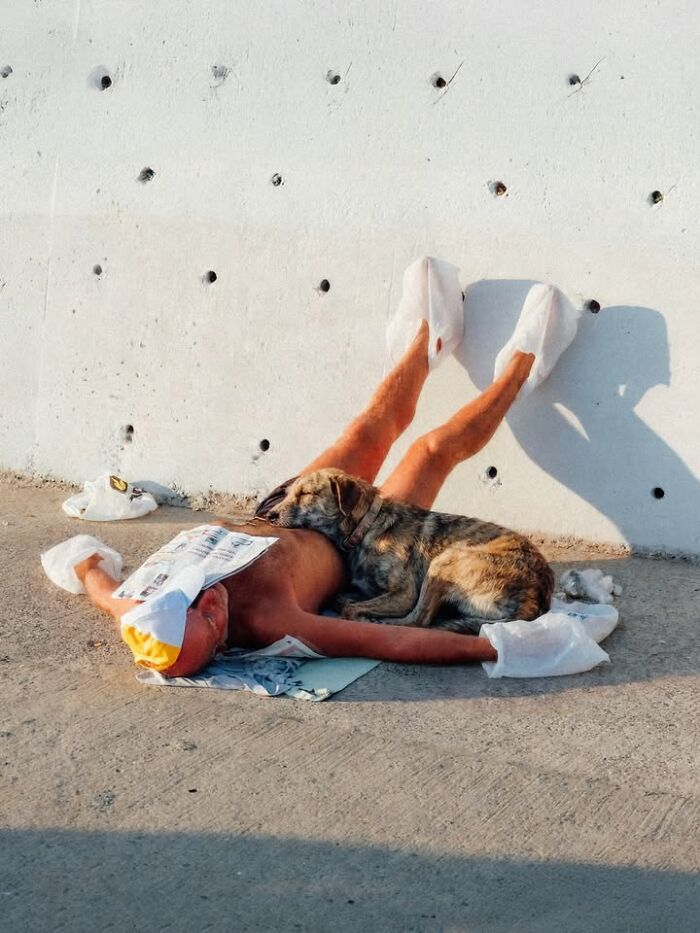 This Photographer Captured 58 Street Moments So Perfectly Timed They Look Almost Staged