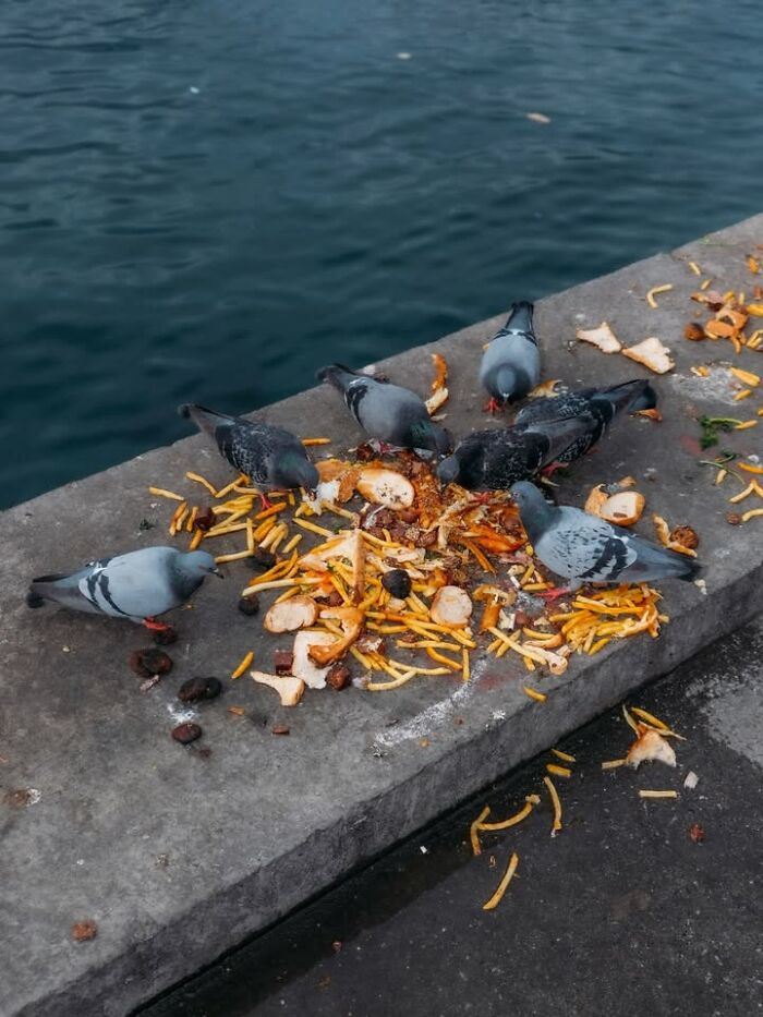 This Photographer Captured 58 Street Moments So Perfectly Timed They Look Almost Staged