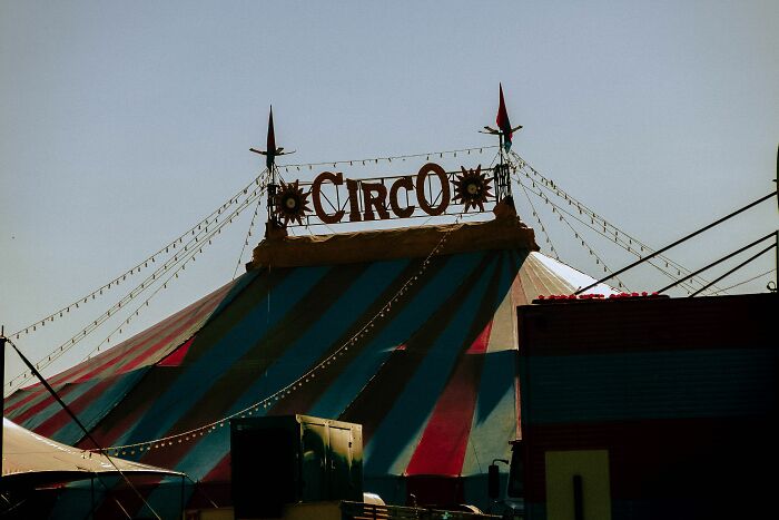93 Of The Most Absurd And Hilarious Things Folks Have Ever Witnessed Firsthand