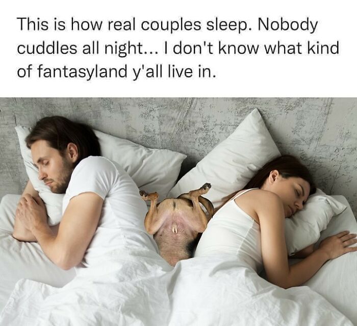 Dog Toy Maker BARK Shared 35 Relatable Memes That Prove They Know Their Target Audience Well Dog Toy Maker BARK Shared 35 Relatable Memes That Prove They Know Their Target Audience Well