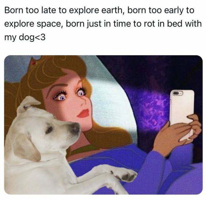 Dog Toy Maker BARK Shared 35 Relatable Memes That Prove They Know Their Target Audience Well Dog Toy Maker BARK Shared 35 Relatable Memes That Prove They Know Their Target Audience Well