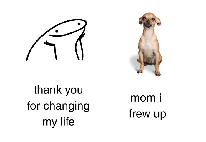 Dog Toy Maker BARK Shared 35 Relatable Memes That Prove They Know Their Target Audience Well Dog Toy Maker BARK Shared 35 Relatable Memes That Prove They Know Their Target Audience Well