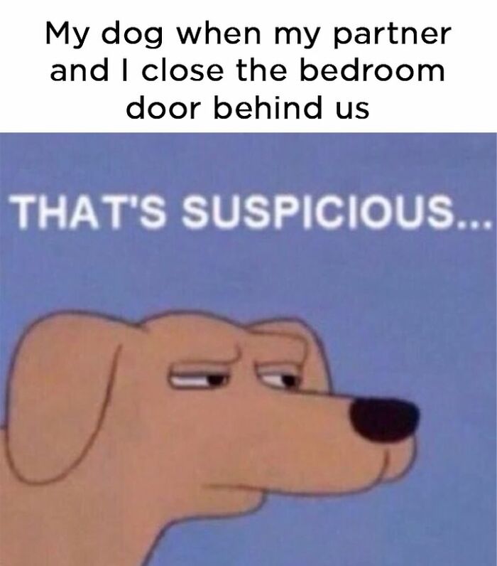 Dog Toy Maker BARK Shared 35 Relatable Memes That Prove They Know Their Target Audience Well Dog Toy Maker BARK Shared 35 Relatable Memes That Prove They Know Their Target Audience Well