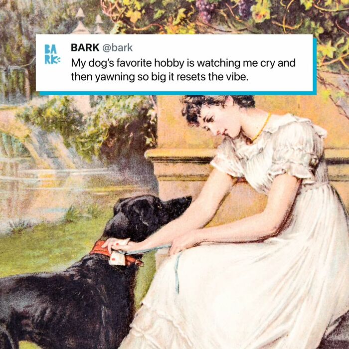 Dog Toy Maker BARK Shared 35 Relatable Memes That Prove They Know Their Target Audience Well Dog Toy Maker BARK Shared 35 Relatable Memes That Prove They Know Their Target Audience Well