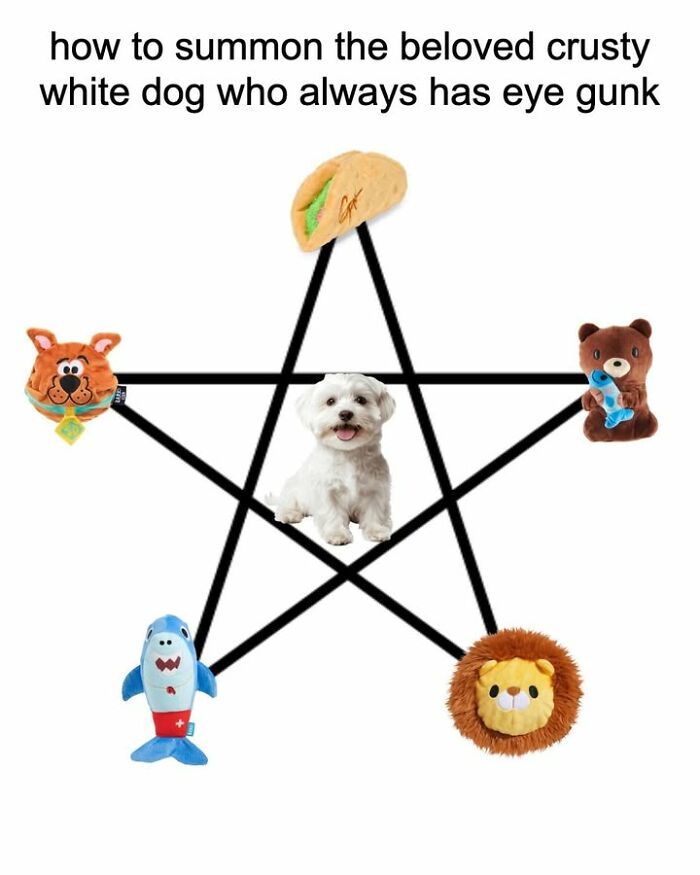 Dog Toy Maker BARK Shared 35 Relatable Memes That Prove They Know Their Target Audience Well Dog Toy Maker BARK Shared 35 Relatable Memes That Prove They Know Their Target Audience Well