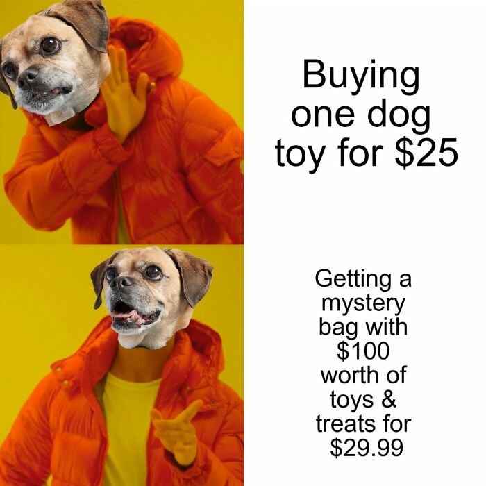 Dog Toy Maker BARK Shared 35 Relatable Memes That Prove They Know Their Target Audience Well Dog Toy Maker BARK Shared 35 Relatable Memes That Prove They Know Their Target Audience Well