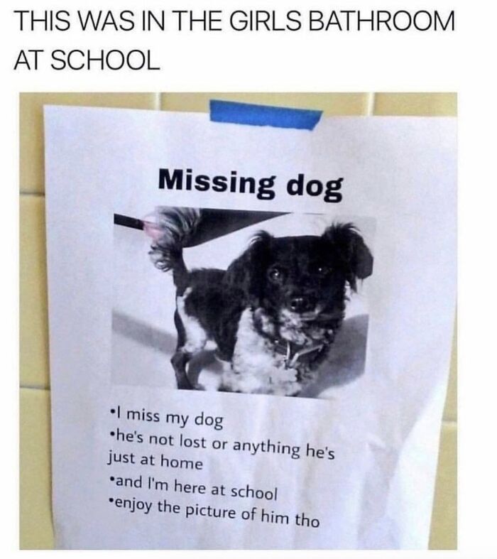 Dog Toy Maker BARK Shared 35 Relatable Memes That Prove They Know Their Target Audience Well Dog Toy Maker BARK Shared 35 Relatable Memes That Prove They Know Their Target Audience Well