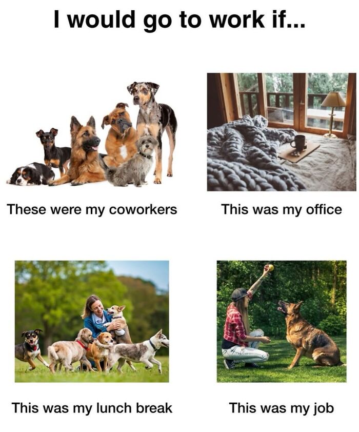 Dog Toy Maker BARK Shared 35 Relatable Memes That Prove They Know Their Target Audience Well Dog Toy Maker BARK Shared 35 Relatable Memes That Prove They Know Their Target Audience Well