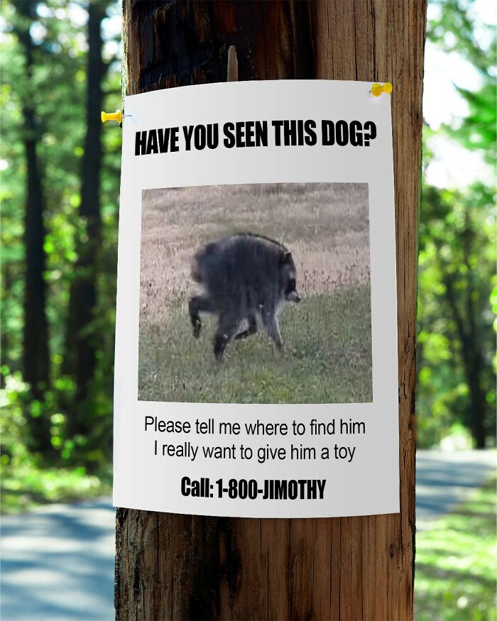 Dog Toy Maker BARK Shared 35 Relatable Memes That Prove They Know Their Target Audience Well Dog Toy Maker BARK Shared 35 Relatable Memes That Prove They Know Their Target Audience Well